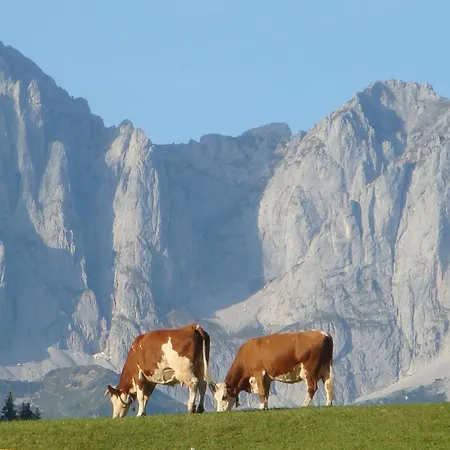 Bed & No Breakfast Reith bei Kitzbühel